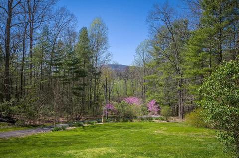 146 Back Draft Rd, Rockbridge Baths, VA 24473 photo 6