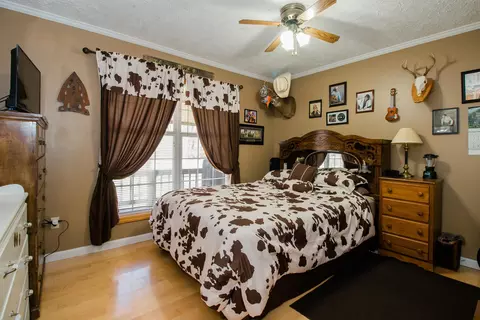 897 N River Rd, Mount Solon, VA 22843 photo 11