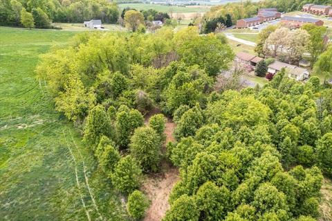 54 Round Hill Drive, Stuarts Draft, VA 24477 photo 11