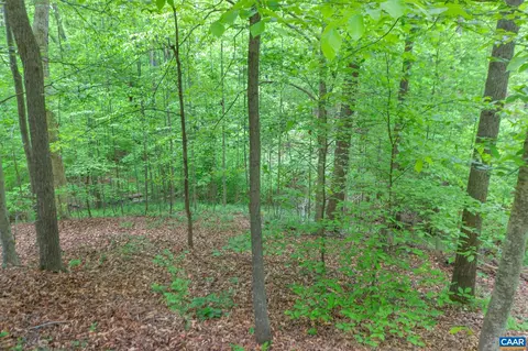 3 Watts Cir, Palmyra, VA 22963 photo 48