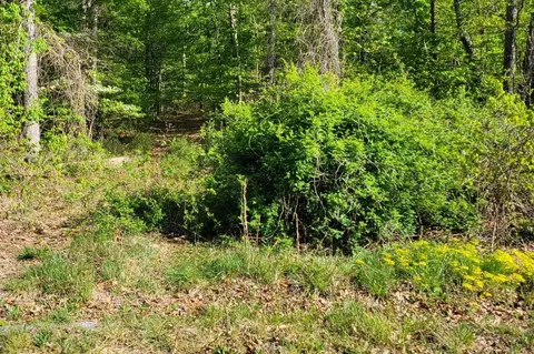 0 Ore Bank Rd, Port Republic, VA 24471