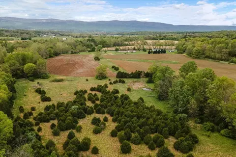 0 Loop Rd, Elkton, VA 22827 photo 9
