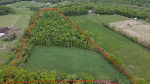 Tbd Land Grant Rd, Mount Jackson, VA 22842