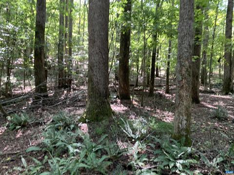 Lot 2 Green Creek Rd, Old Dominion, VA 22969