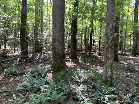 lot8 Green Creek Rd, Schuyler, VA 22969