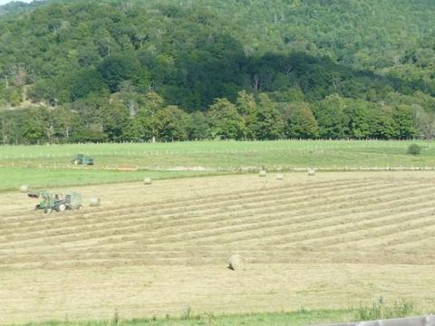 7192 Doe Hill Rd, Mcdowell, VA 24458 photo 36