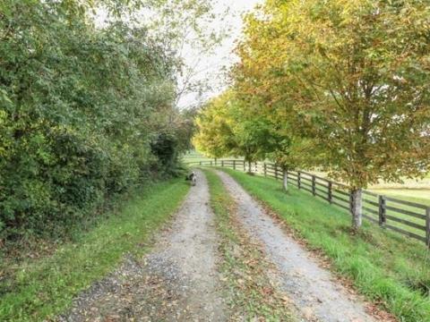 7192 Doe Hill Rd, Mcdowell, VA 24458 photo 27