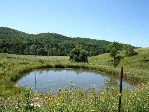 7192 Doe Hill Rd, Mcdowell, VA 24458 photo 21