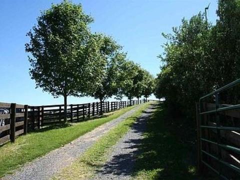 7192 Doe Hill Rd, Mcdowell, VA 24458 photo 28
