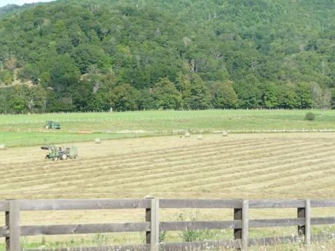 7192 Doe Hill Rd, Mcdowell, VA 24458 photo 39