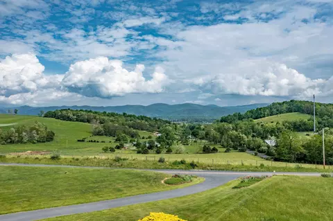 1875 Ridge Rd, Raphine, VA 24472 photo 58