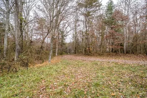 701 Griffith Ln, Clifton Forge, VA 24422 photo 30