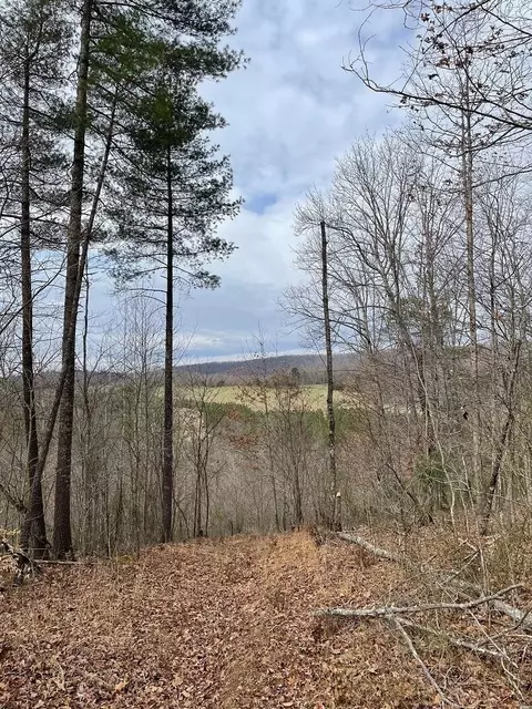 70-131 Estaline Valley Rd, Craigsville, VA 24430