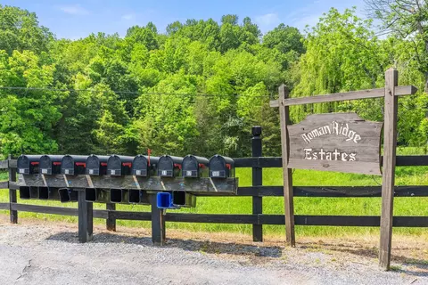 88 E Roman Ridge Rd E, Mount Sidney, VA 24467 photo 66