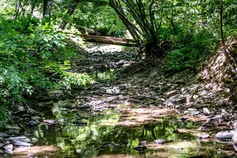 0 Stuples Hollow Rd, Craigsville, VA 24430