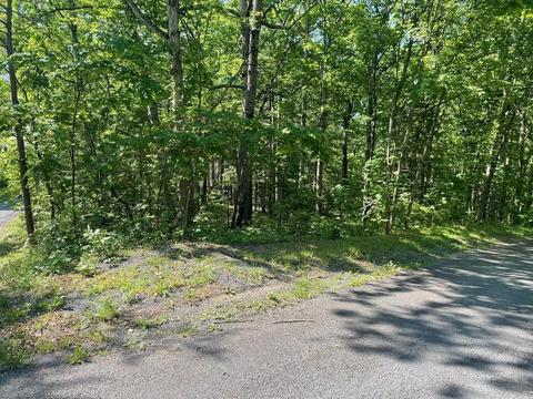 Tbd Sycamore Rd, Mount Jackson, VA 22842 photo 2