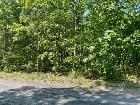Tbd Sycamore Rd, Mount Jackson, VA 22842 photo 4