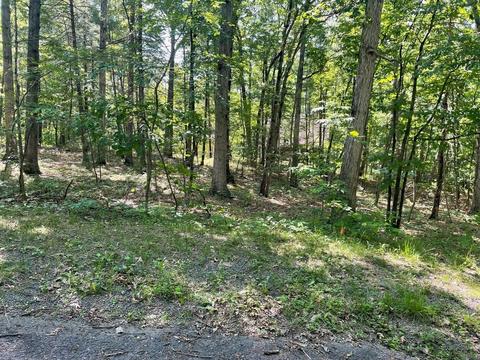Tbd Sycamore Rd, Mount Jackson, VA 22842 photo 3