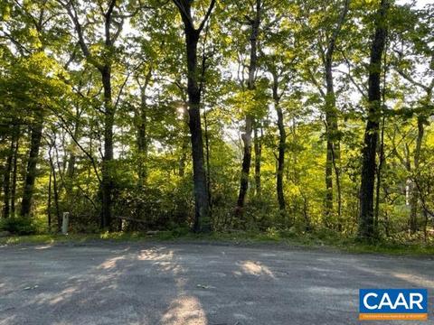 lot103 Gumtree Rd #WINTERGREEN  103, Wintergreen Resort, VA 22967