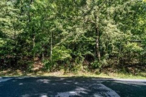 183 Deer Dr #213, Mcgaheysville, VA 22840