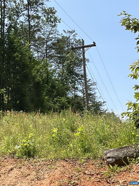 Tbd Laurel Rd, Shipman, VA 22971 photo 11