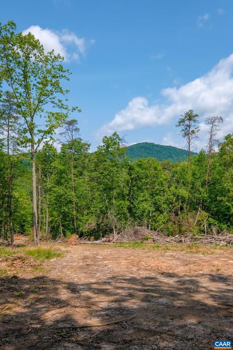 Tbd Laurel Rd, Shipman, VA 22971 photo 8