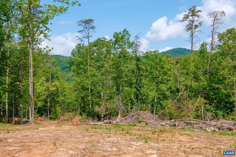 Tbd Laurel Rd, Shipman, VA 22971 photo 5