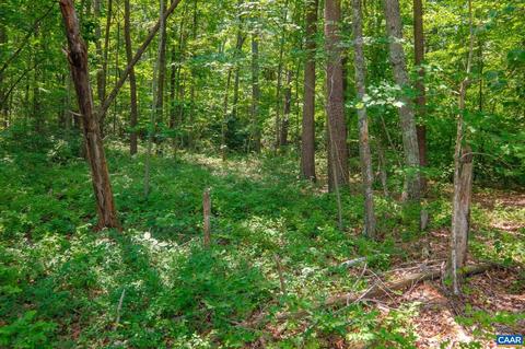 Tbd Laurel Rd, Shipman, VA 22971 photo 18