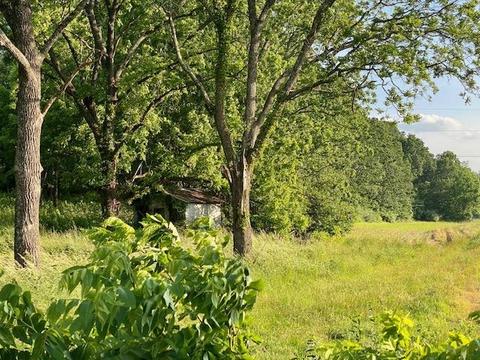 Tbd Lipscomb Rd, Stuarts Draft, VA 24477 photo 2