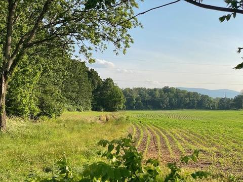Tbd Lipscomb Rd, Stuarts Draft, VA 24477 photo 7