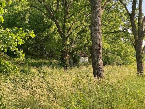 Tbd Lipscomb Rd, Stuarts Draft, VA 24477 photo 6