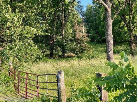 Tbd Lipscomb Rd, Stuarts Draft, VA 24477 photo 8