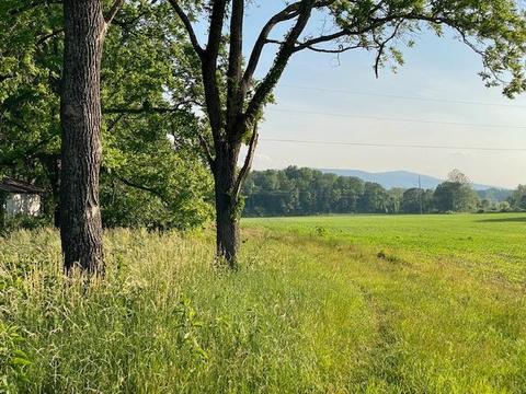 Tbd Lipscomb Rd, Stuarts Draft, VA 24477