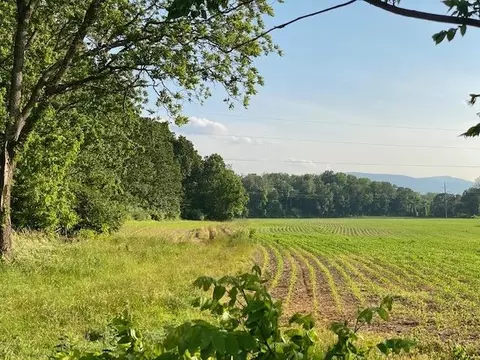tbd Lipscomb Rd, Stuarts Draft, VA 24477 photo 7
