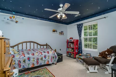 3 Chestnut Ct, Palmyra, VA 22963 photo 17