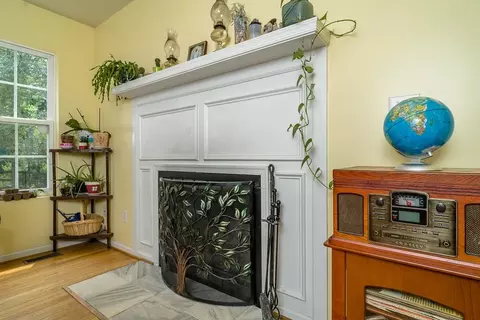3 Chestnut Ct, Palmyra, VA 22963 photo 9