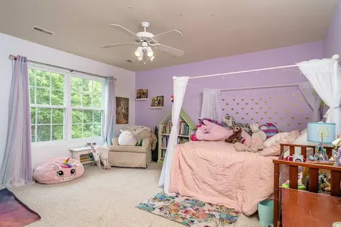 3 Chestnut Ct, Palmyra, VA 22963 photo 18