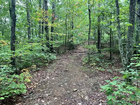 305 Stuples Hollow Rd, Craigsville, VA 24430