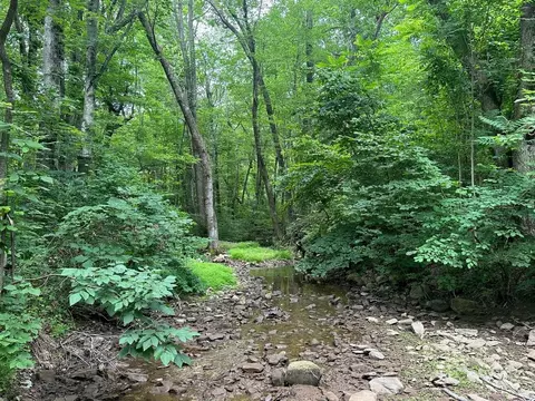 0 Two Mile Run Ln, Elkton, VA 22827