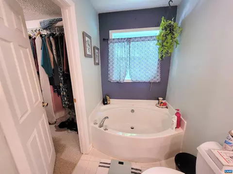 22 Cliftwood Rd, Palmyra, VA 22963 photo 13