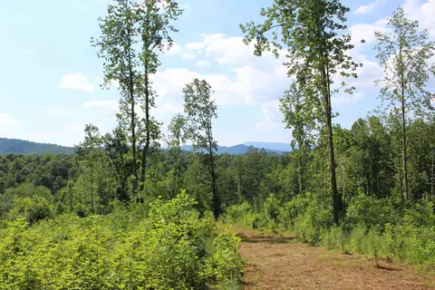 tbd Starvale Ln, Shipman, VA 22971