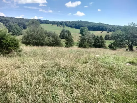 279 Whetstone Draft Rd, Mount Solon, VA 22843 photo 17