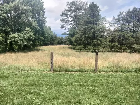 279 Whetstone Draft Rd, Mount Solon, VA 22843 photo 13