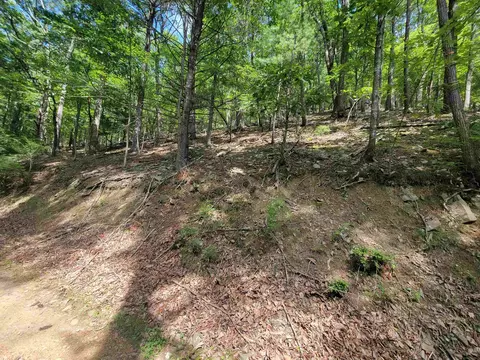 Tbd German River Rd, Criders, VA 22820 photo 4