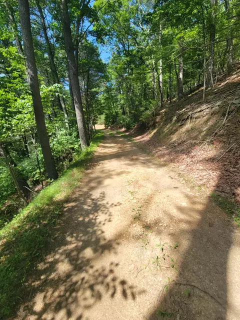 Tbd German River Rd, Criders, VA 22820 photo 3