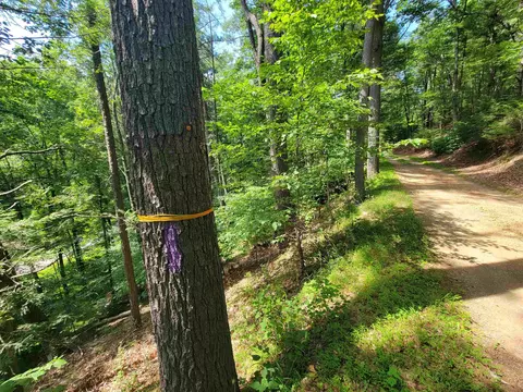 Tbd German River Rd, Criders, VA 22820 photo 2