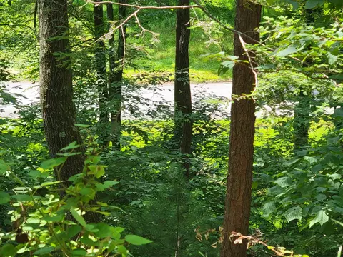 tbd German River Rd, Criders, VA 22820
