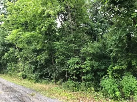 0 B St Block 197 Lots 5678 Block 198 Lots 1234 #BLOCK 197 S 5,6,7,8 BLOCK 19, Waynesboro, VA 22980