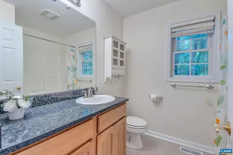 8 Adrian Ct, Palmyra, VA 22963 photo 35