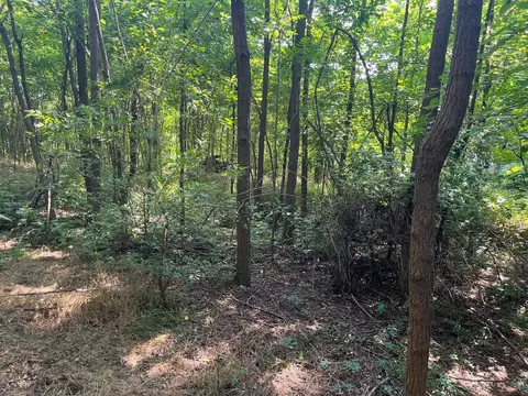 520 Todd Rd, Mount Sidney, VA 24467 photo 12